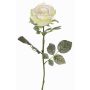 Rose en velours HUSA, blanc-vert, 75cm, Ø10cm