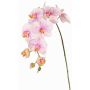 Branche fleurie artificielle Orchidée Phalaenopsis WESA, rose-blanc, 100cm