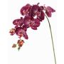 Branche fleurie artificielle Orchidée Phalaenopsis WESA, violet foncé-blanc, 100cm