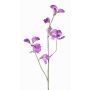 Branche de fleurs synthétiques Lathyrus ASFALOTH, lilas, 65cm, Ø3-5cm