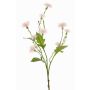 Centaurée des prés artificielle HOLLA, rose pâle, 55cm, Ø3-4cm
