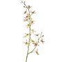 Branche florale artificielle Orchidée Cattleya TRASSA, vert clair-rouge, 80cm, Ø4-8cm