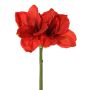 Amaryllis synthétique NARWELA, rouge, 70cm, Ø10-13cm