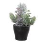 Composition décorative sapin, houblon, aronia VIANNO, enneigée, pot décoratif, vert-blanc, 14cm, Ø11cm