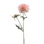 Branche artificielle de scabieuse BASOLO, rose-crème, 55cm