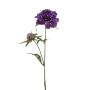 Branche artificielle de scabieuse BASOLO, violet foncé, 55cm