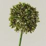 Allium artificiel HELLA, pailleté, vert-or, 45 cm, Ø 8 cm
