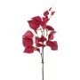 Branche décorative Lierre TROMBE, fruits, rouge, 55cm