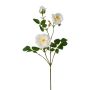 Branche artificielle Pivoine KROVEL, crème, 75cm
