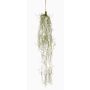 Suspension de tillandsia usneoides artificielle TAMON, vert, 90 cm