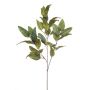 Fausse branche d'eucalyptus BELUNI, vert, 125cm
