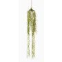 Plante succulente artificielle Chute de hoya linearis TAMON, vert, 90 cm
