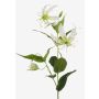 Fleur textile Gloriosa FUJITA, crème-vert, 80cm, Ø15cm