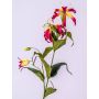 Fleur textile Gloriosa FUJITA, rose-jaune, 80cm, Ø15cm