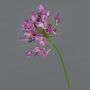 Agapanthe artificielle PHILINA, violet, 75cm, Ø14cm