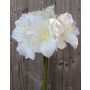 Amaryllis artificielle DAGGI, blanche, 70cm, Ø11-18cm