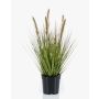 Gazon artificiel décoratif herbe à plumes YWAIN avec panicules, beige-vert, 45cm