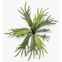 Plante artificielle fougère à cornes VIGRAL, tige, difficilement inflammable, verte, 50cm