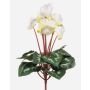 Cyclamen synthétique VERIANA sur tige, blanc-vert, 30cm