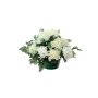 Composition décorative de chrysanthèmes, gypsophile YASAR, pot décoratif, crème, 25cm, Ø30cm