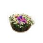 Composition florale artificielle anémones et pâquerettes IKAIA, multicolore, 12cm, Ø20cm