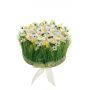 Composition florale artificielle de jonquilles et d'herbe HAULANI, blanc-jaune, 12cm, Ø20cm