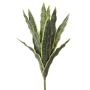 Plante décorative Sansevieria LIVIANA, tige, vert-jaune, 50cm