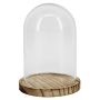 Cloche en verre DANILLA avec socle, bois marbré, transparente, 13cm, Ø9,5cm
