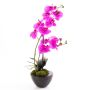 Orchidée Phalaenopsis en plastique MELINA dans un pot en céramique, rose, 45 cm