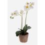 Orchidée Phalaenopsis artificielle MINA dans un pot en terre cuite, blanche, 45 cm