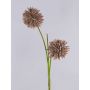 Branche d'allium artificielle en mousse synthétique CHIRARA, marron, 90cm, Ø10cm