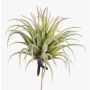 Fausse plante Tillandsia Rubra PENNY, à piquer, vert-rouge, 12cm, Ø10cm