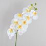 Fausse orchidée Phalaenopsis OPHELIA, blanc, 100cm
