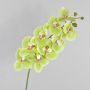 Fausse orchidée Phalaenopsis OPHELIA, vert-rose, 100cm