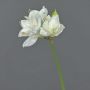 Amaryllis artificiel BENITA, blanc, 55cm, Ø10cm
