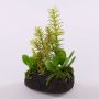 Composition de plantes succulentes artificielles BAMBI dans une motte de terre, verte, 19cm