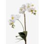Fausse orchidée Phalaenopsis CANDIDA à planter, blanc, 65cm