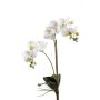 Fausse orchidée Phalaenopsis CANDIDA à planter, blanc, 65cm