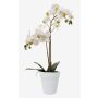 Orchidée artificielle Phalaenopsis CANDIDA dans un pot en céramique, blanc, 65 cm