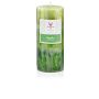 Bougie parfumée rustique ASTRID, Fresh Apple, vert pomme, 13cm, Ø6,8cm, 60h