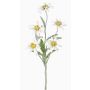 Fleur artificielle edelweiss SOPHIA, blanc, 40cm, Ø5-6cm