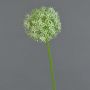 Allium artificiel SAMARA, crème, 75cm, Ø12cm