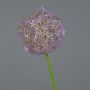 Allium artificiel SAMARA, violet, 75cm, Ø12cm