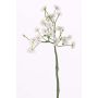 Pâquerette artificielle BELINA, blanc, 30cm, Ø1-1,5cm