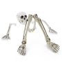 Décoration d'Halloween Morceaux de squelette ADALBERT avec 5 piquets, 19cm, 45cm, 66cm