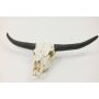 Mini crâne décoration bison LAKOTA TATANKA, 34x20x6,5cm