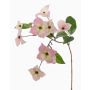 Branche décorative Cornouiller du Japon KOHANA, en fleurs, rose-crème, 65cm, Ø4-8cm
