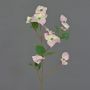 Branche décorative Cornouiller du Japon KOHANA, en fleurs, rose, 70cm