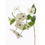 Branche décorative Cornouiller du Japon KOHANA, en fleurs, crème, 65cm, Ø4-8cm