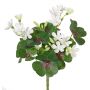 Plante décorative Trèfle KARTIKA, en fleurs, à planter, blanc, 20cm